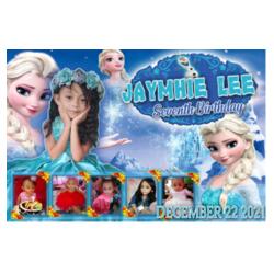 Frozen Birthday Banner with Pictures - TGB 13 Design