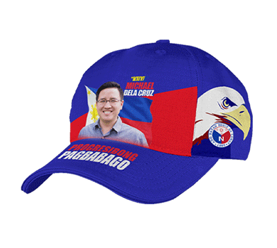 election-low-price-cap