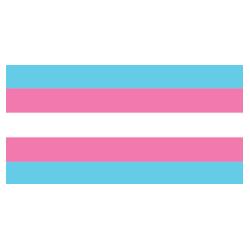 TRANSGENDER Flag Design
