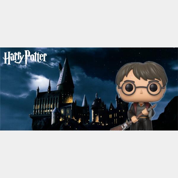 Harry Potter, Harry Potter Holding A Broom Pack Harry Potter, Funko Mugs - HP 09 Thumbnail